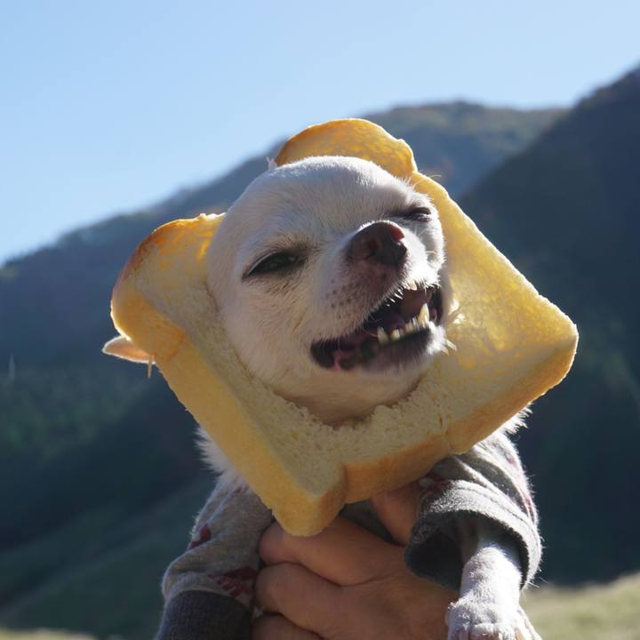 0b2d5e6c 58fb 4b21 893e fade7d6ebb82 1572646017111