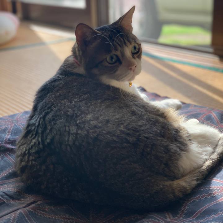 0b2d6b47 c9b6 4906 ac42 92edeeed4f43 1635695211976