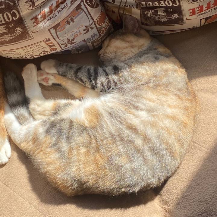 0b2d6b89 e786 49bd bd31 bc11cff4a0be 1584919218564