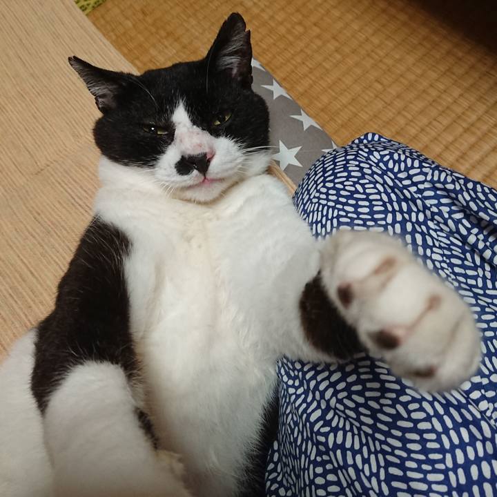 0b2d8150 a0f8 4e5f baa3 73ee3b3ba0c9 1595161717298