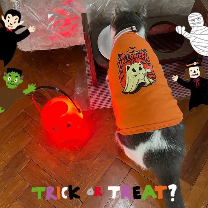 0b2d8b4a 48e5 4f58 b2f0 ac716b6efa30 1761917534801