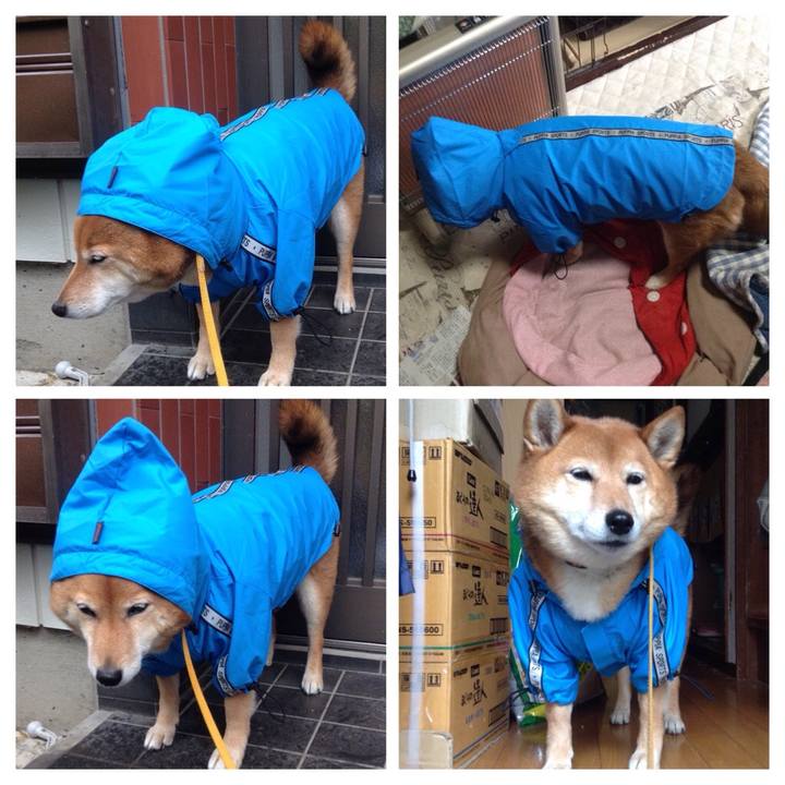 0b2ddc7d 53c2 4bd5 9719 fe746115309e 1521519027343