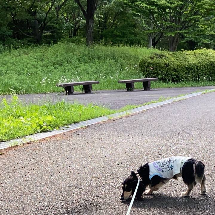 0b2e2ca4 1306 4855 a705 e9dd2bca9790 1715762154273