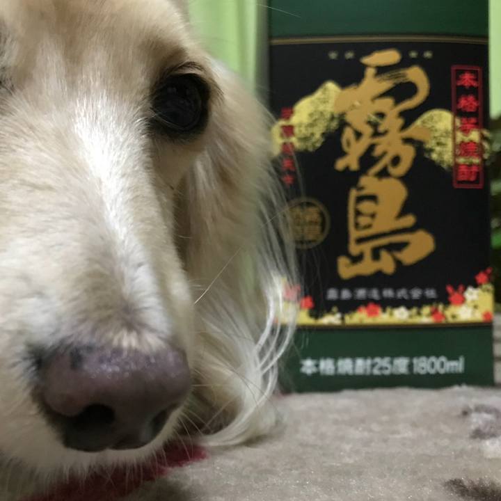 0b2e3a5a e898 421d 944f cdc392268fe0 1510496831501