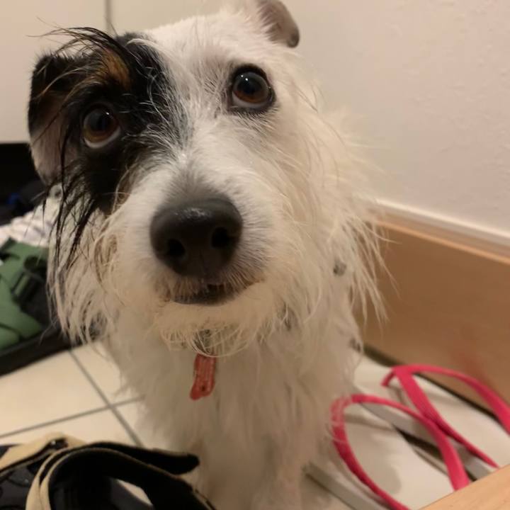 0b2e47f0 556e 4161 a88b c8483a9160a3 1599466502325