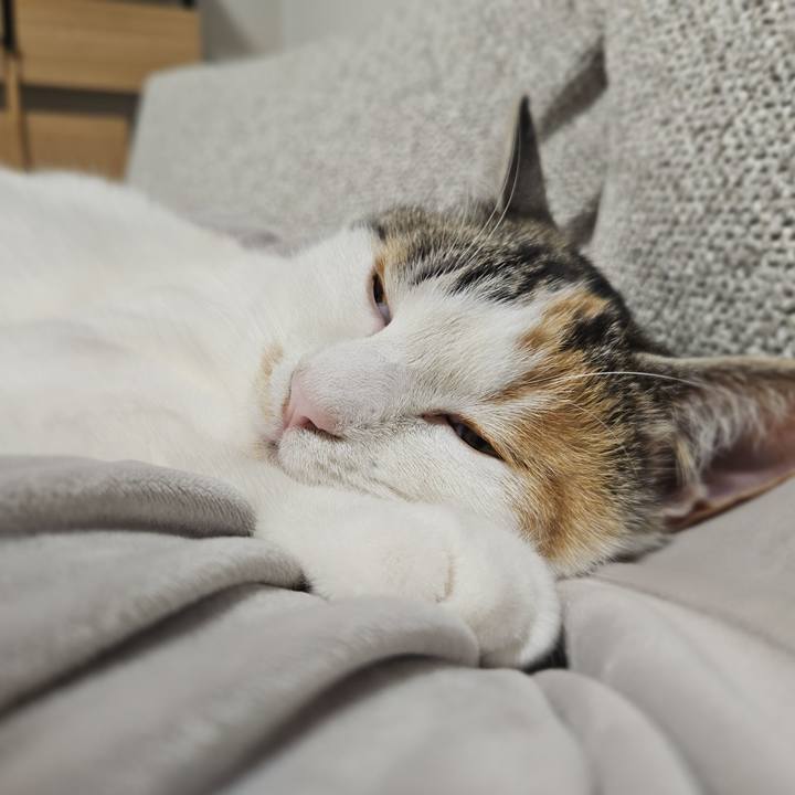 0b2e60a8 b257 4dcc 867d e2da21add48e 1773986067785