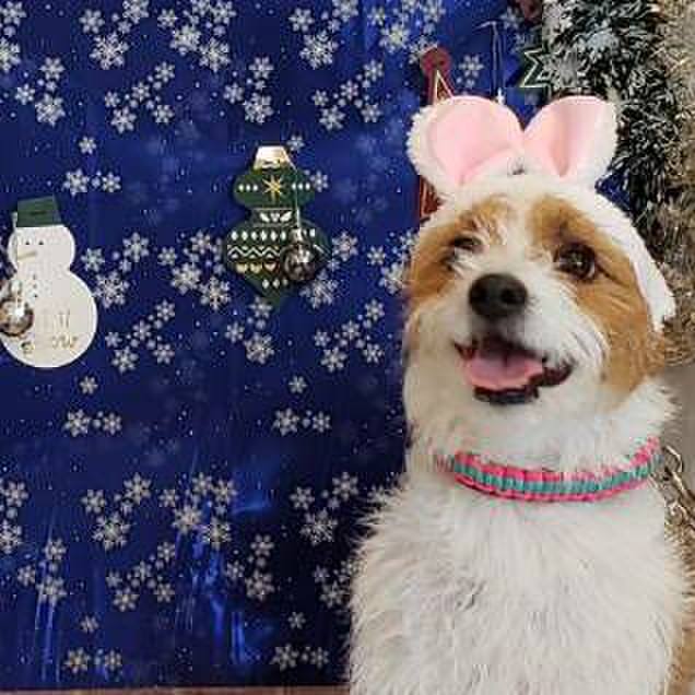 0b2e7626 d8b3 4f5c 89d6 653848e1d6d2 1579320207738