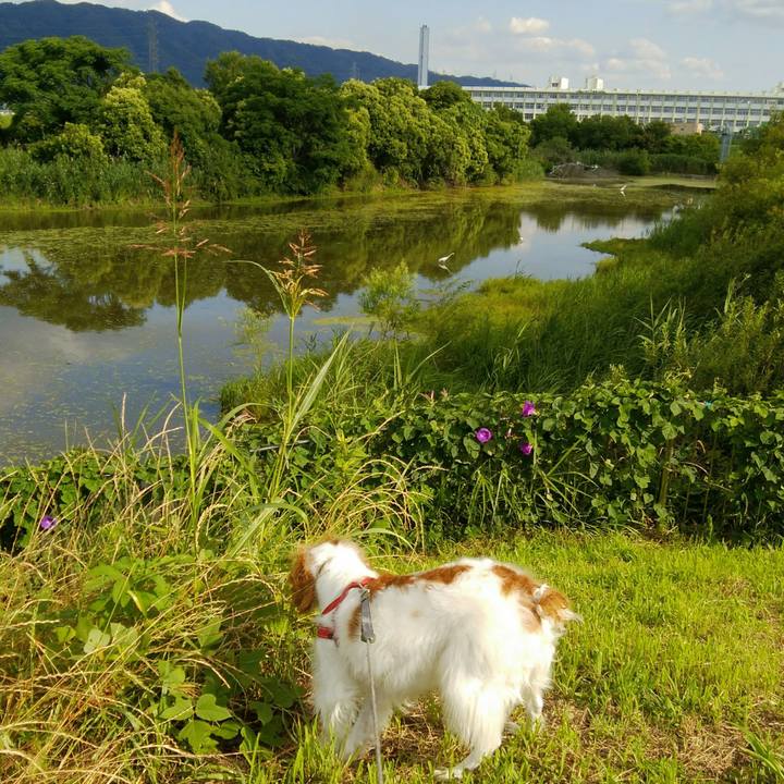 0b2e9756 140e 4a0c a6fd 6f624ecb7638 1560769582025