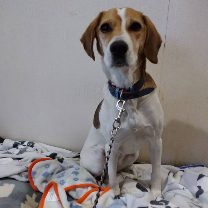 0b2f0a8f 526b 4693 9335 865318d41f01 1610895875053