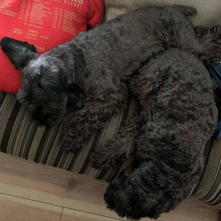 0b2f0dd7 3e7f 435a 9c3c 1e92105c7321 1599541645710