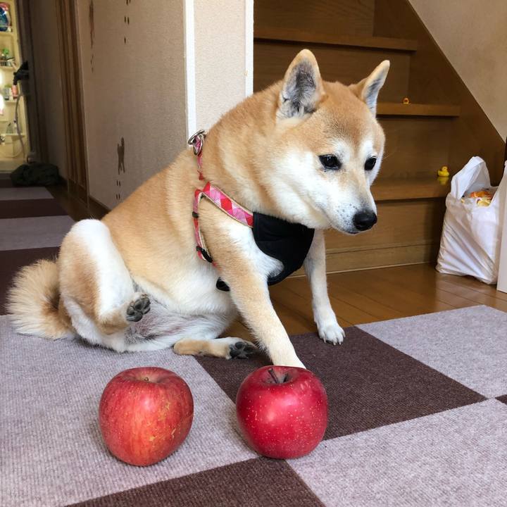 0b2f14f2 b8a5 4b16 983c 594c50ff893b 1554179720113