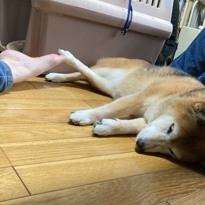 0b2f193d 686b 4151 b237 83a96b5872ef 1720759506213