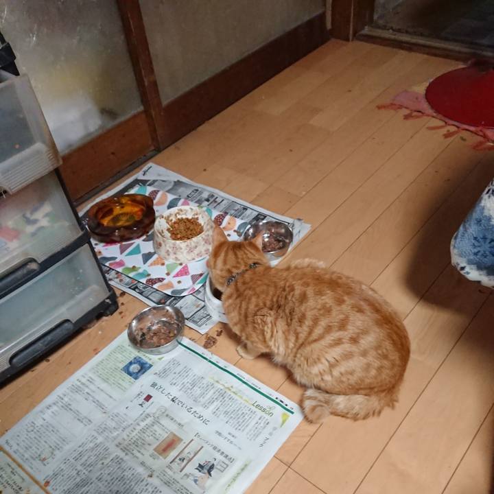 0b2f3211 331c 4dab 94e6 20656fe56bfd 1652305795149