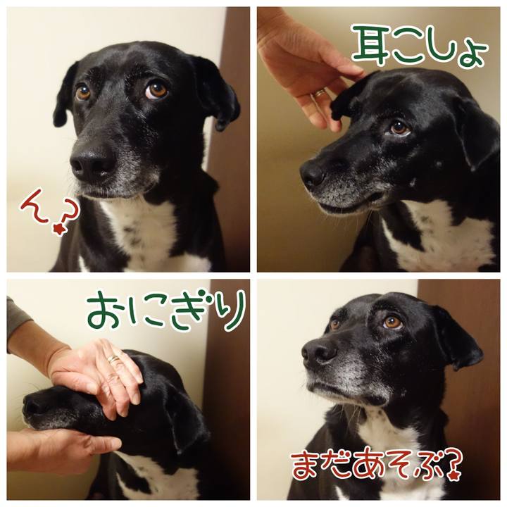 0b2f36ce c5bd 40b7 a592 fdbe736704e4 1702292559302