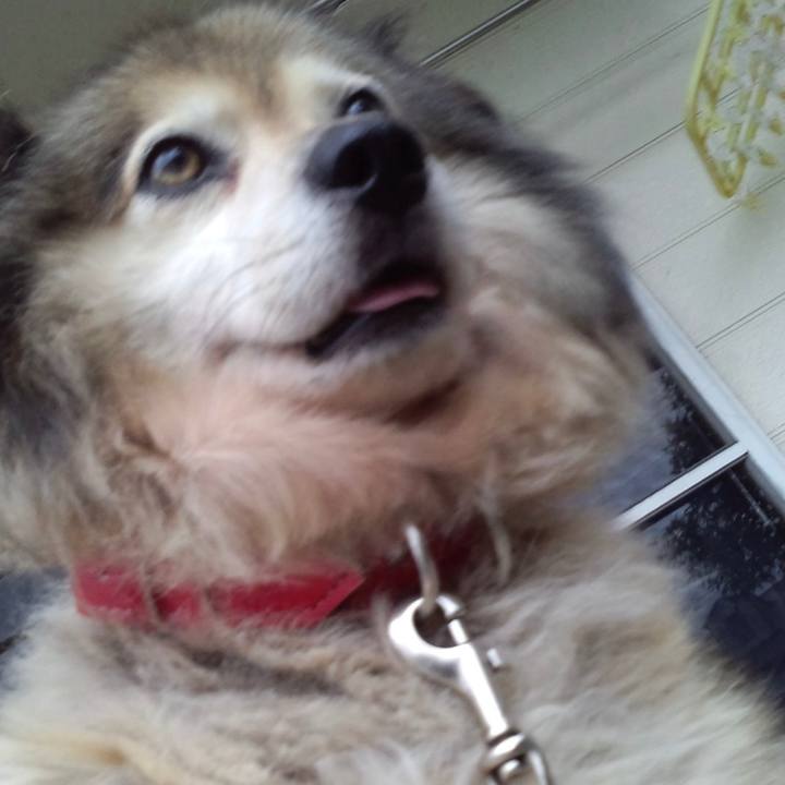 0b2f5582 bf52 4f4e 8443 2e521290e999 1603541396361