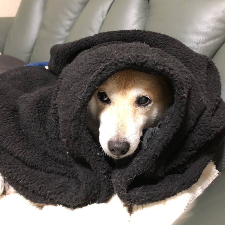 0b2f61d8 2900 4a11 be32 e111cc269ebd 1575459429046