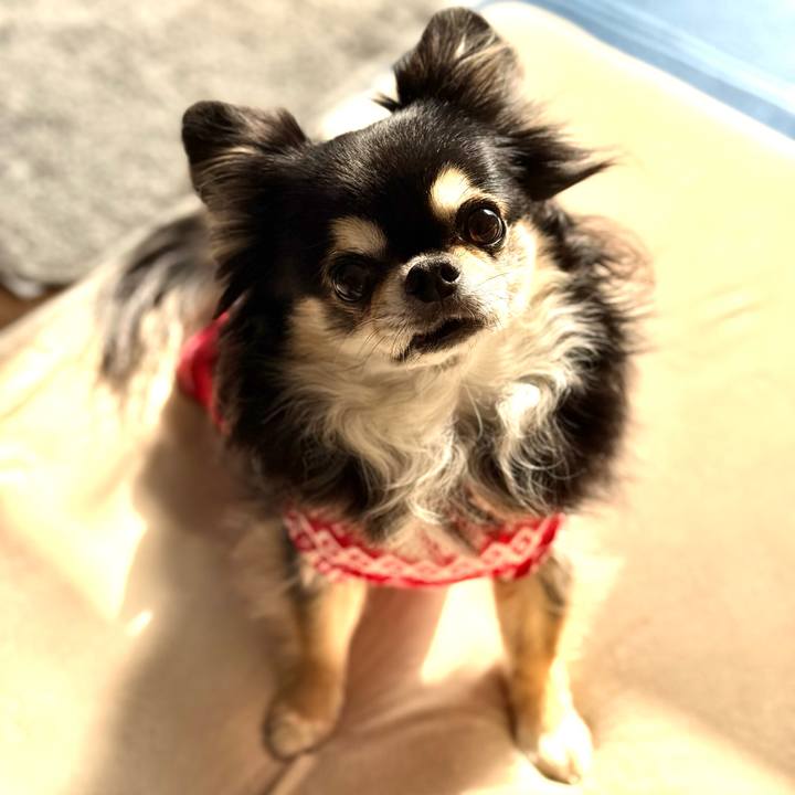 0b2f83ea 4a63 45e3 ba19 cf93676d037c 1763813955337