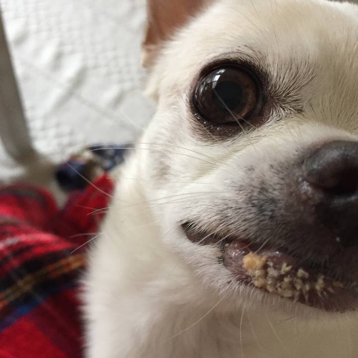 0b2facdb fcbb 4470 9129 af56ef9fb32d 1509772291930