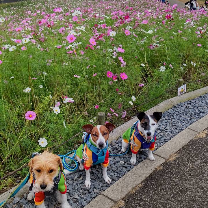 0b2fdb34 7f76 49ba b7c9 350bceb82300 1665995638490