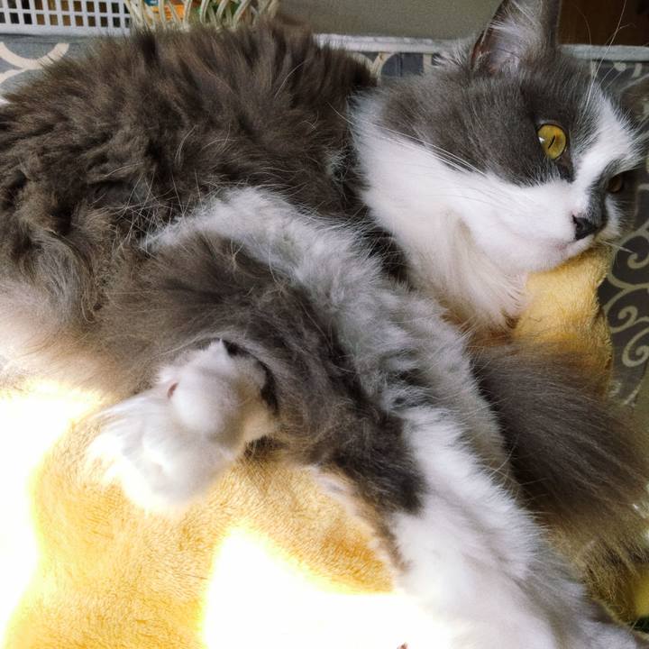 0b2fef8e ab26 4c9c 8dc7 558f77fa9c9b 1670984308381