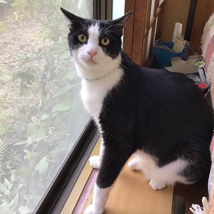 0b303b71 282c 4464 b23a aec2e3526662 1687092772022