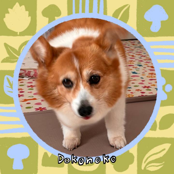 0b305893 cc3b 4ede 9130 6611331d6a97 1761301249693