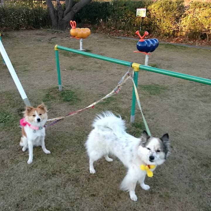 0b305946 32e0 4975 8161 8d7270d257e0 1514385146150