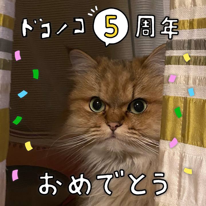 0b307c4b 60c3 4660 b5d5 de8e96d632be 1622895816159