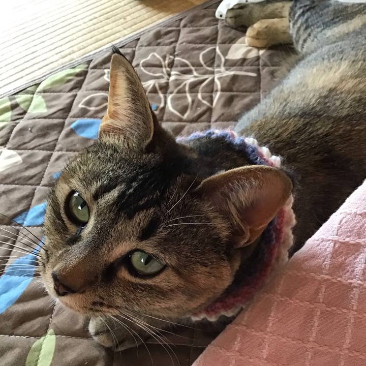 0b308766 9250 4036 8f38 98a95665613a 1618191240673