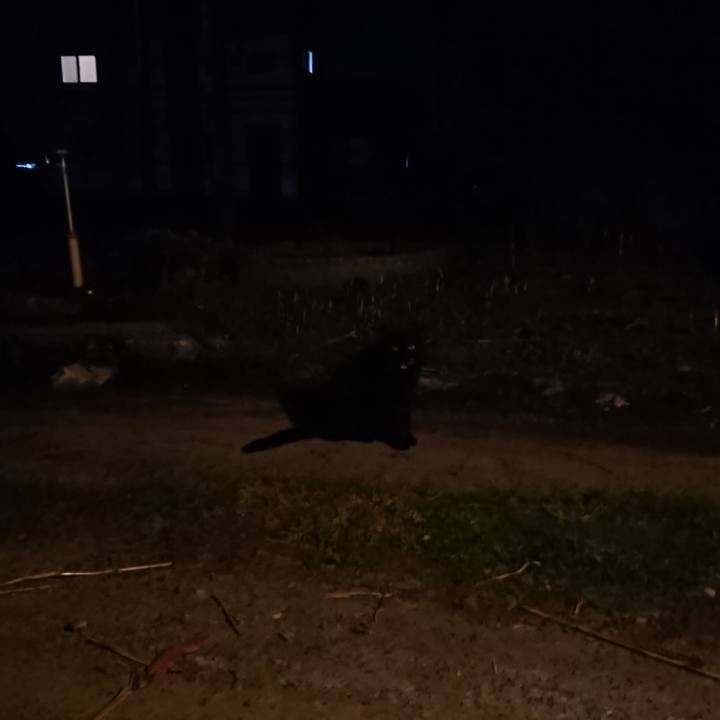 0b30cf13 4ba3 432e bee2 5ca702fd636b 1650190687415