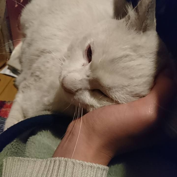 0b30d3ab f411 47bc ac35 b8b1b5794729 1521179812314