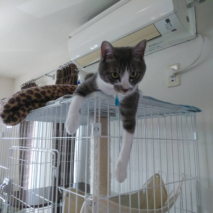 0b30e401 081f 4f63 bf0e bb2dffb1ddc6 1591137872244