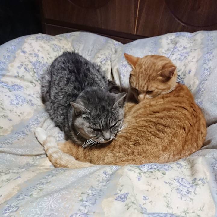 0b310d5d 70e8 4b28 8249 8fc55399c979 1575980892082