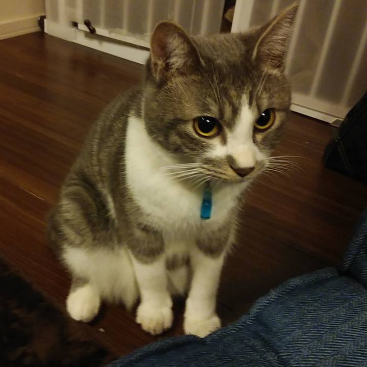 0b311f26 a05a 463e b569 7e3ed45e3e4c 1580395194528