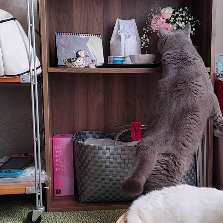 0b3138e6 48da 4887 931d 40c3ddacd496 1666416875482