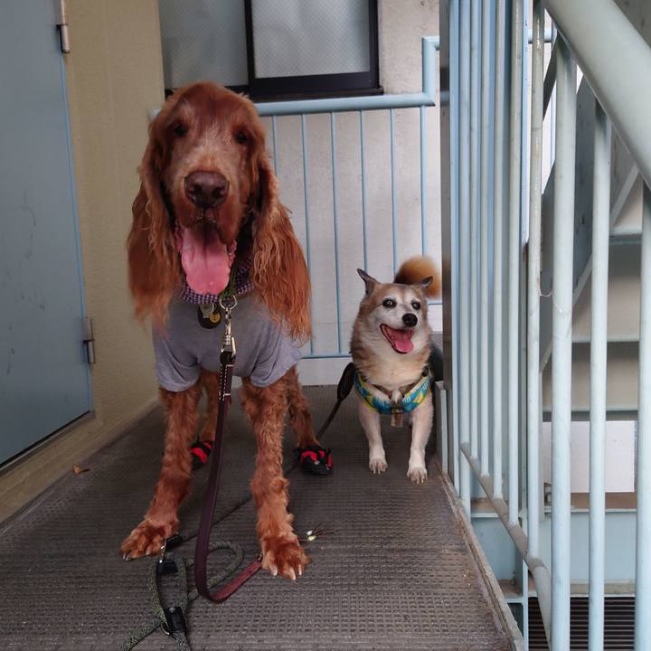 0b3155ee c77a 47b3 a997 48781e41ac45 1683209623575