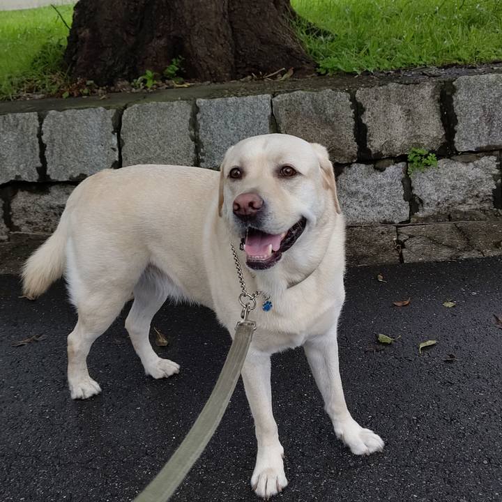 0b31c7ad 3428 4b35 b390 a65a8cd322ff 1594703137591