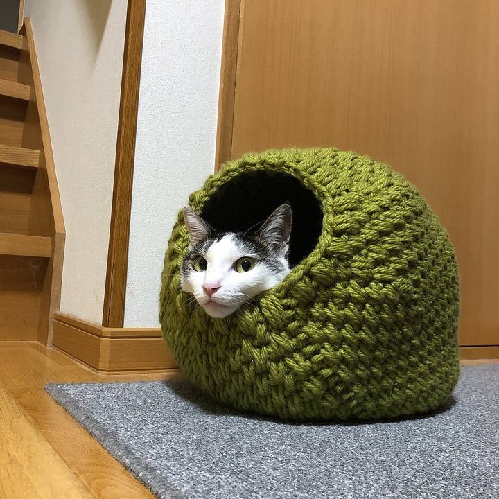 0b3234be f84b 456f ba79 779585354ea0 1663416016833