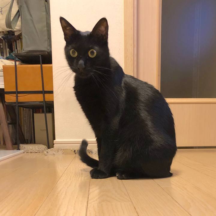 0b324ee1 4b14 4e33 977d 8a4c36cd26fa 1566740244781