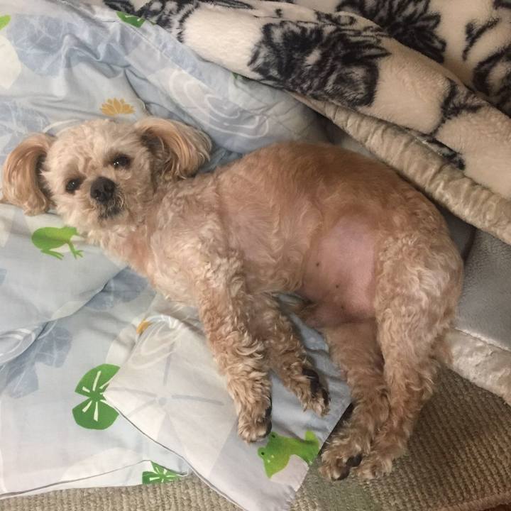 0b325877 e8cc 4185 a0a3 3028afa0309b 1555942438506