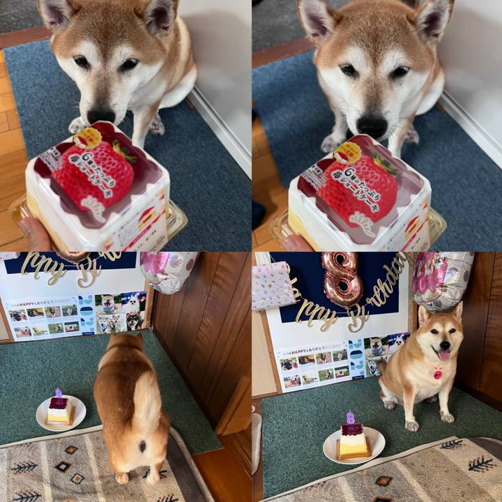 0b325cc0 025f 4f18 a6e2 1b77ca83ee78 1667714880472