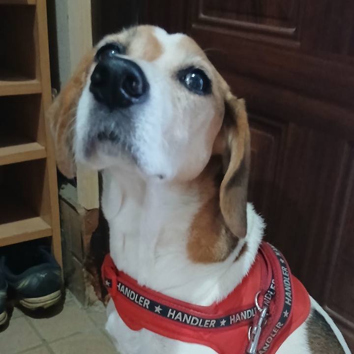 0b325d33 a870 4066 bd3c bf9be0823f09 1760526185924