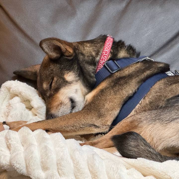 0b327c95 6273 4420 ac00 4d3be97d31ad 1766790223470