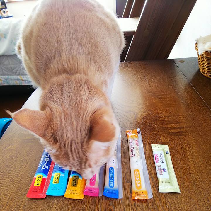 0b32b658 b56d 4bd3 9ba1 b7b03eea63f7 1587259923934