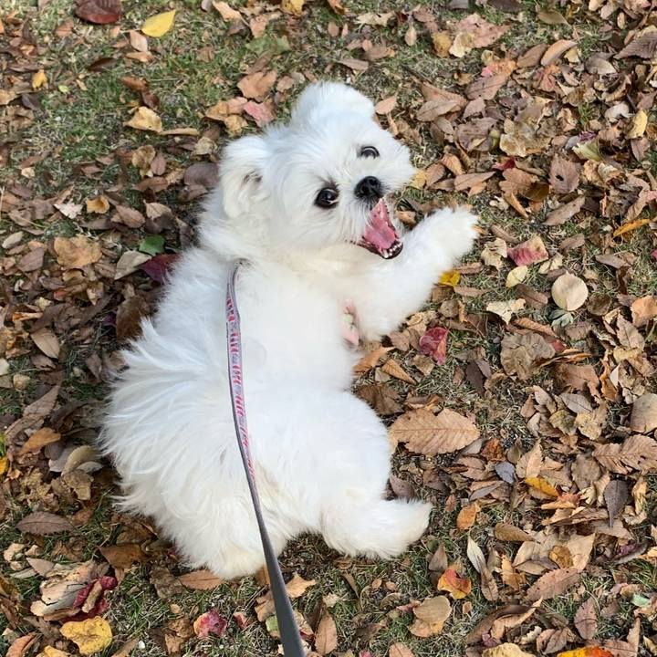 0b32d466 e257 4645 928f ec233726c003 1636700816635