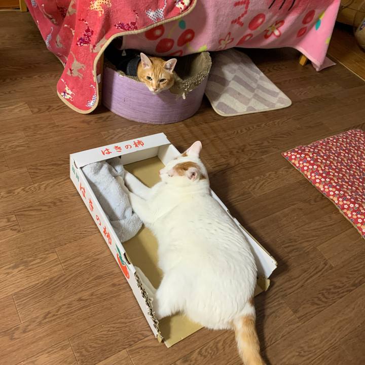 0b3318be f43c 40ea aa88 50e94599f9a4 1643753417777