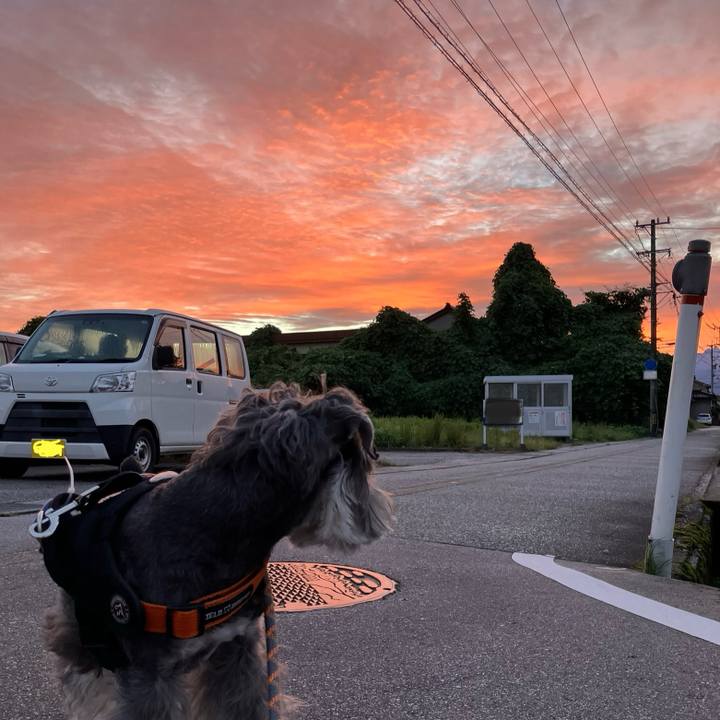 0b331c0f 1d49 4f98 994e ed51482834eb 1728511310087