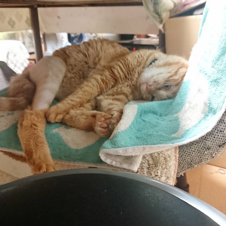 0b332a3d 2d15 4c6b 817e ca1367a2e553 1654727326019