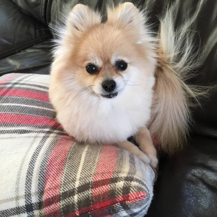 0b334fef b0dd 4aba aa3d 45df77db3cf6 1555843283853