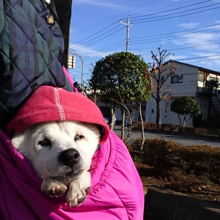 0b3356f1 e769 4951 8ba1 ab5de5278aaf 1511657721643